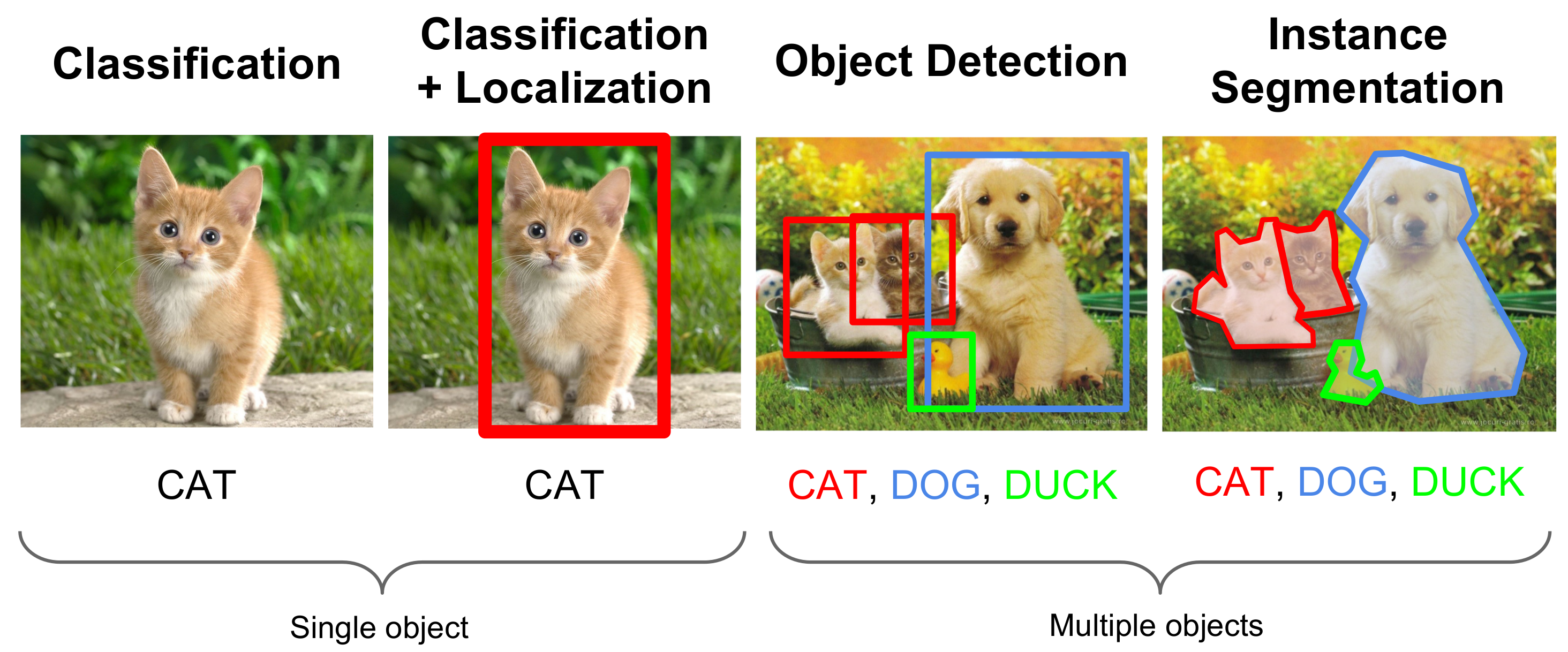 Difference between Classification, Localization, Detection and Segmentation