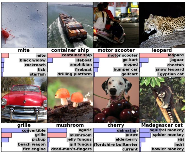 Image Classification using the ImageNet dataset